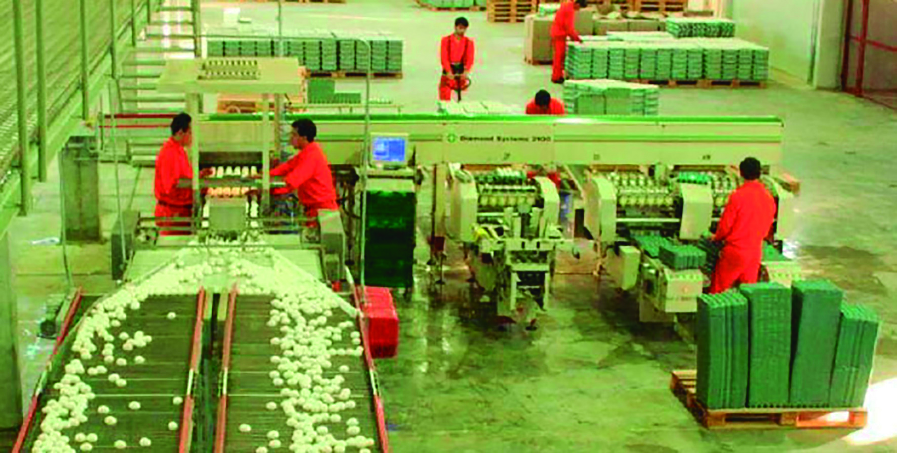 Planta argentina de clasificación de huevos