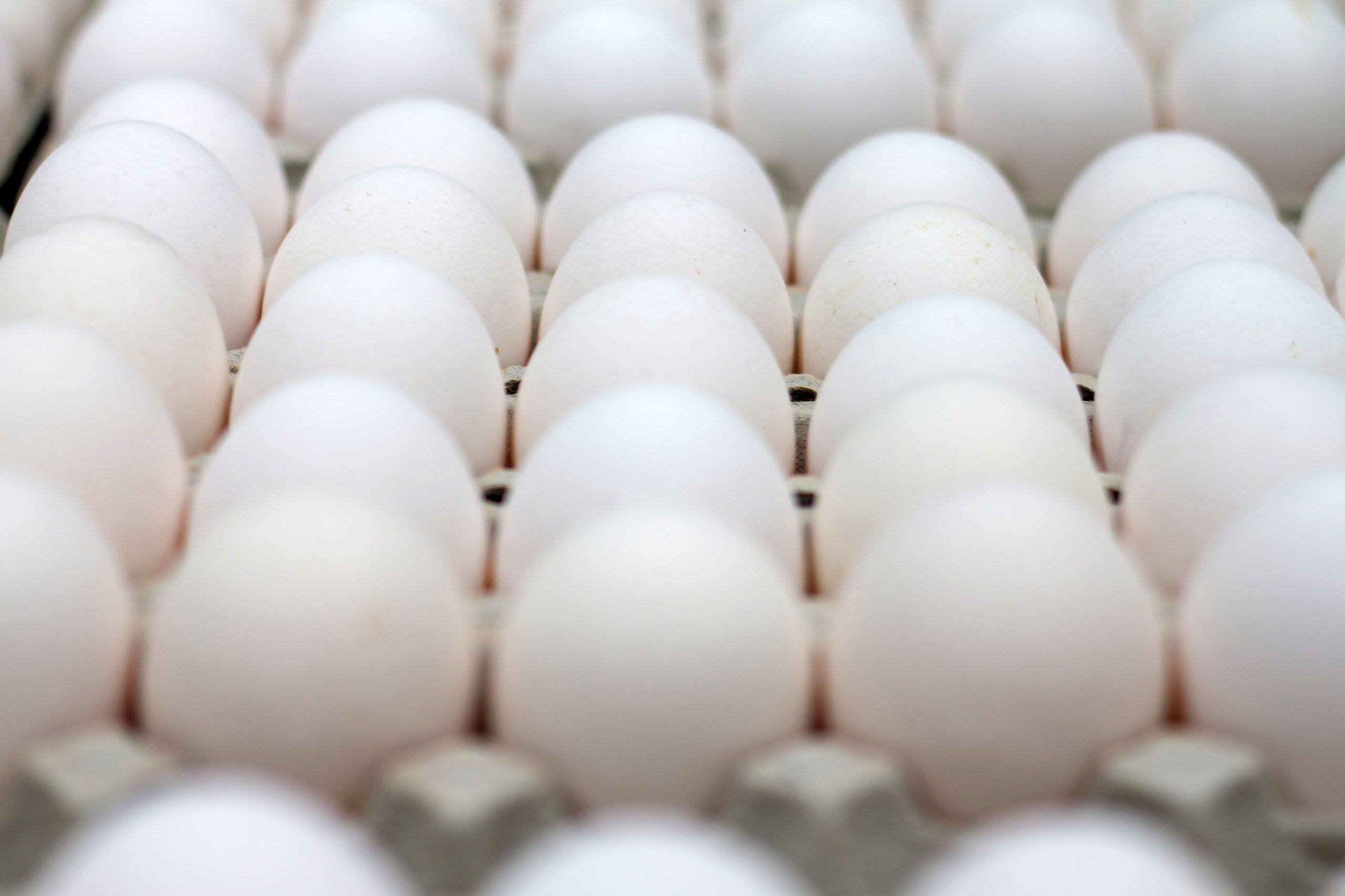 Producción argentina de huevos