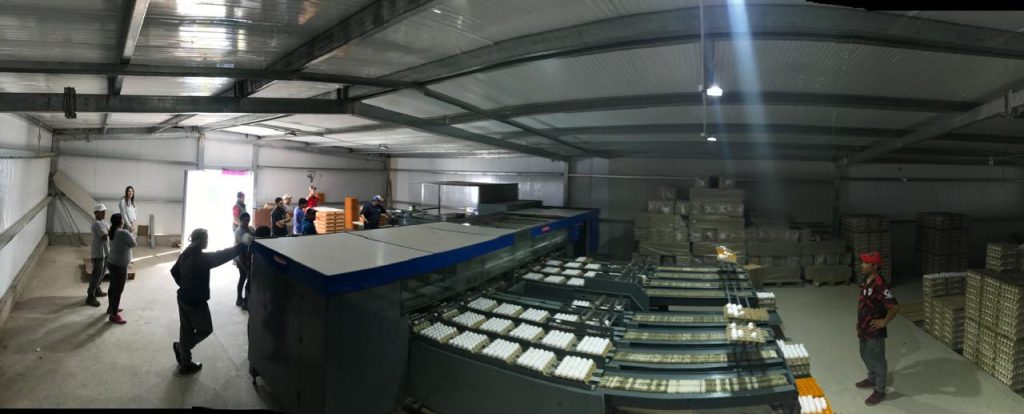 Máquina Moba 2000 en planta